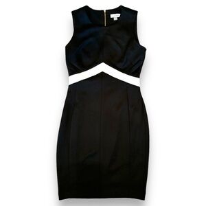 NWT Calvin Klein Block Sheath Dress